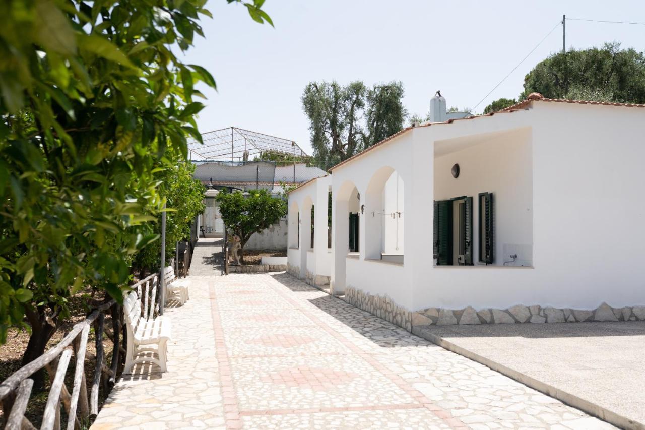 Appartamento Penta Garden Peschici Esterno foto