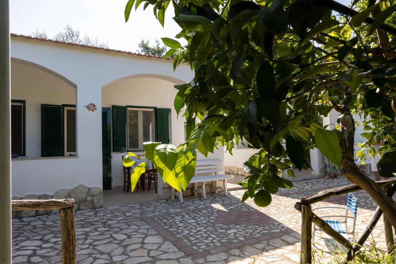 Appartamento Penta Garden Peschici Esterno foto