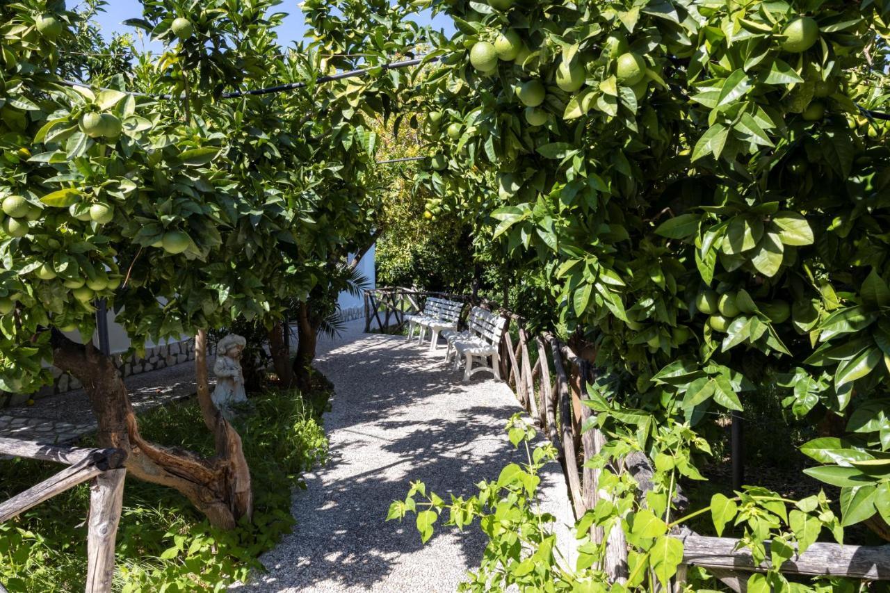 Appartamento Penta Garden Peschici Esterno foto